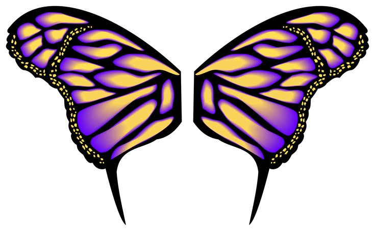 Крылья бабочки
