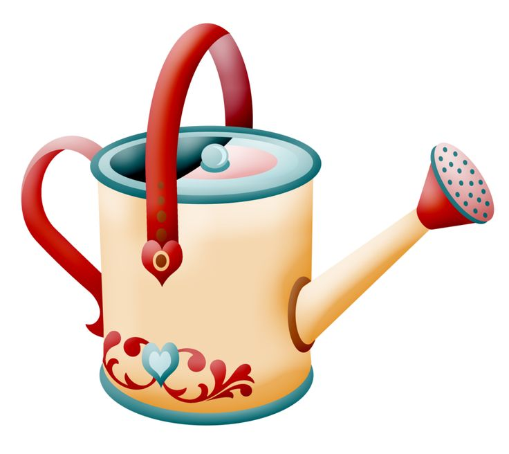 Лейка на белом фоне