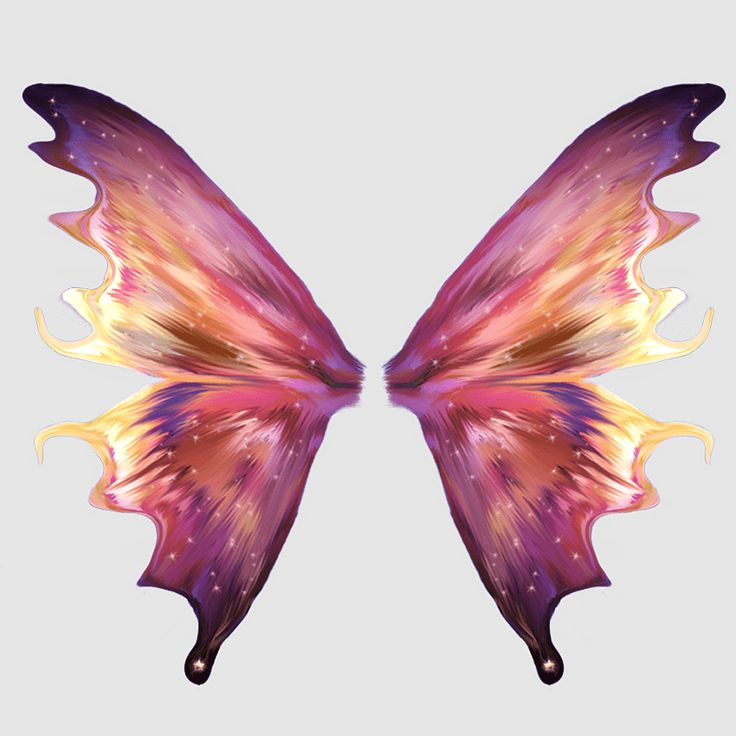 Крылья бабочки
