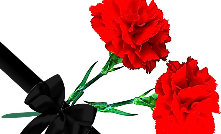 Гвоздики с траурной лентой