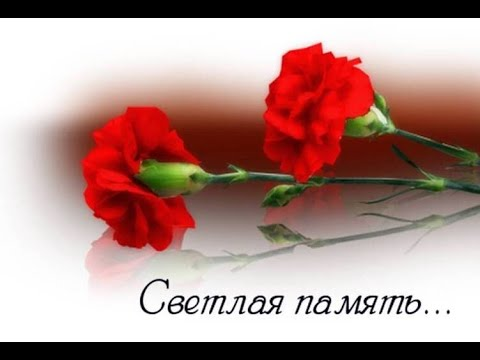 Гвоздики траур