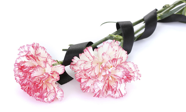 Гвоздики с черной лентой