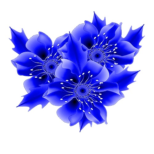 Блуе Фловер