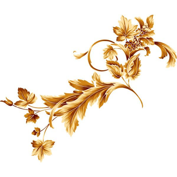 Золотой цветочный орнамент