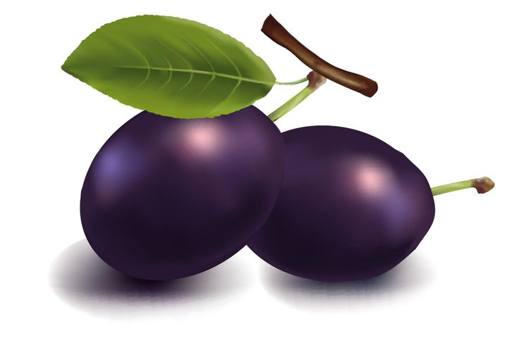 Слива на прозрачном фоне