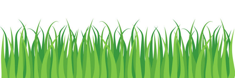 Трава на прозрачном фоне