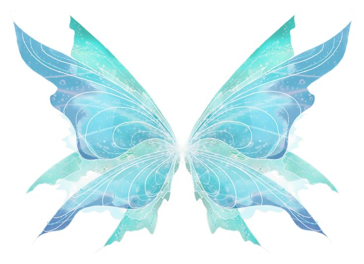 Крылья феи на прозрачном фоне