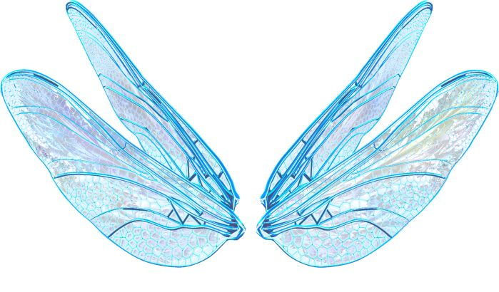Крылья феи прозрачные