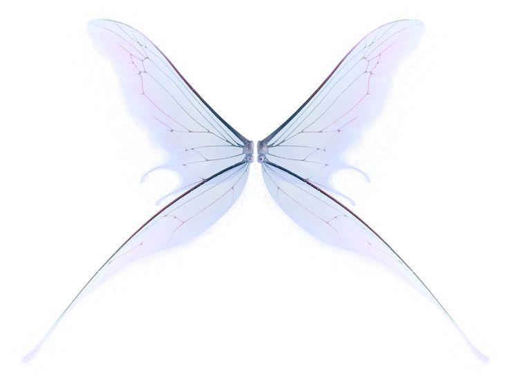 Крылья феи прозрачные