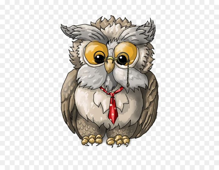 Совы мультяшные