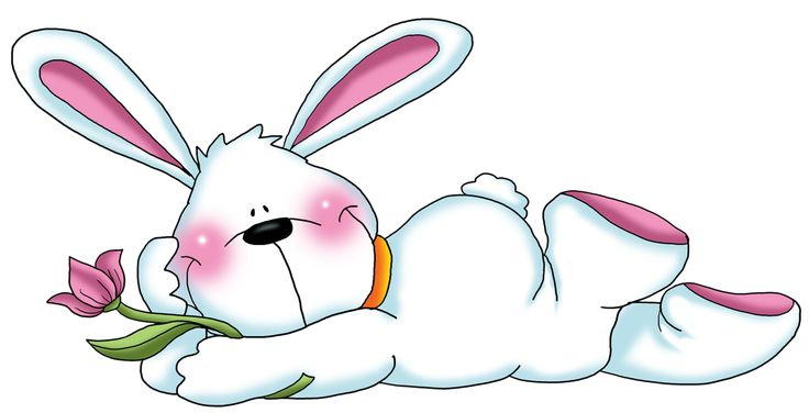 Мультяшные кролики