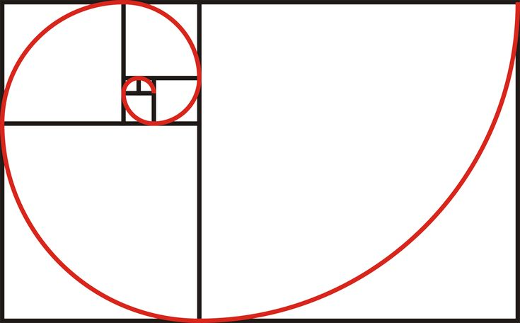 Спираль золотого сечения вектор