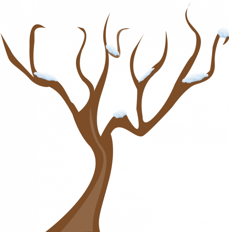 Дерево без листьев на прозрачном фоне