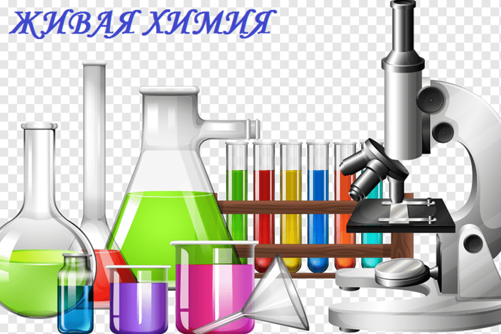 Лаборатория колбы