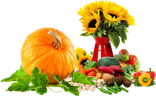 Урожай без фона