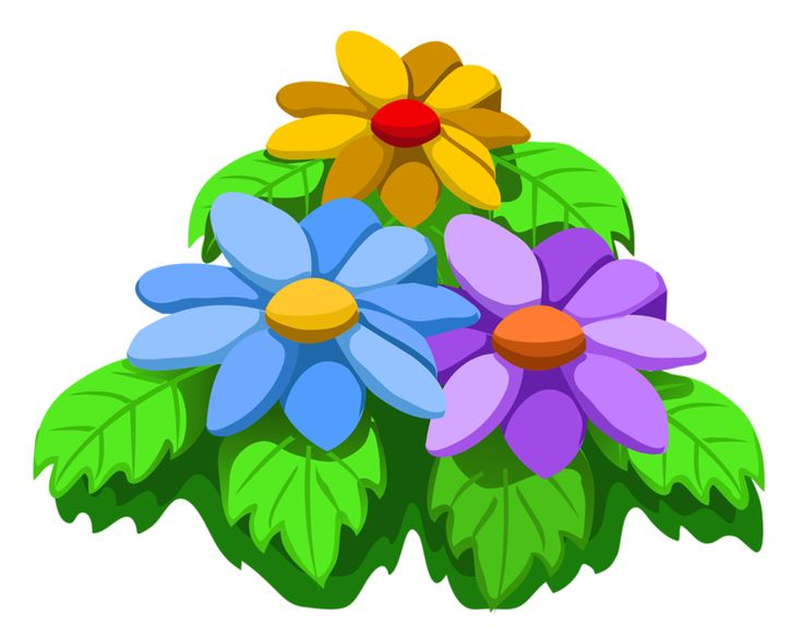 Клипарт цветы на прозрачном фоне