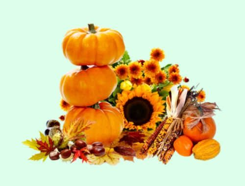 Осенний урожай