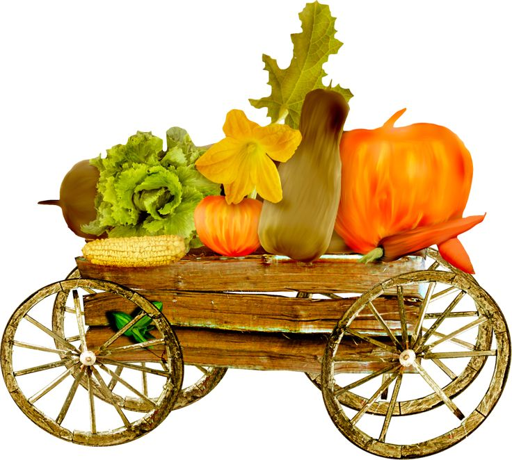 Повозка с урожаем