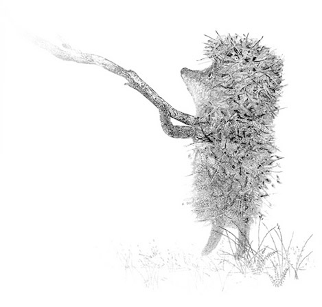 Ежик в тумане на белом фоне