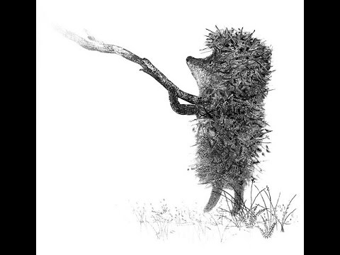 Ежик в тумане карандашом