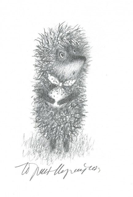 Норштейн Ежик в тумане иллюстрации