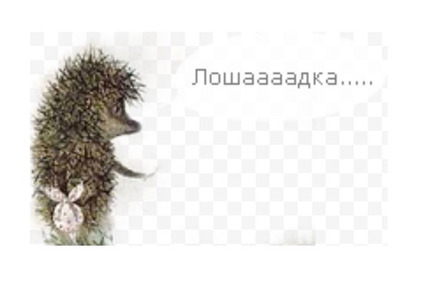 Ежик в тумане зовет