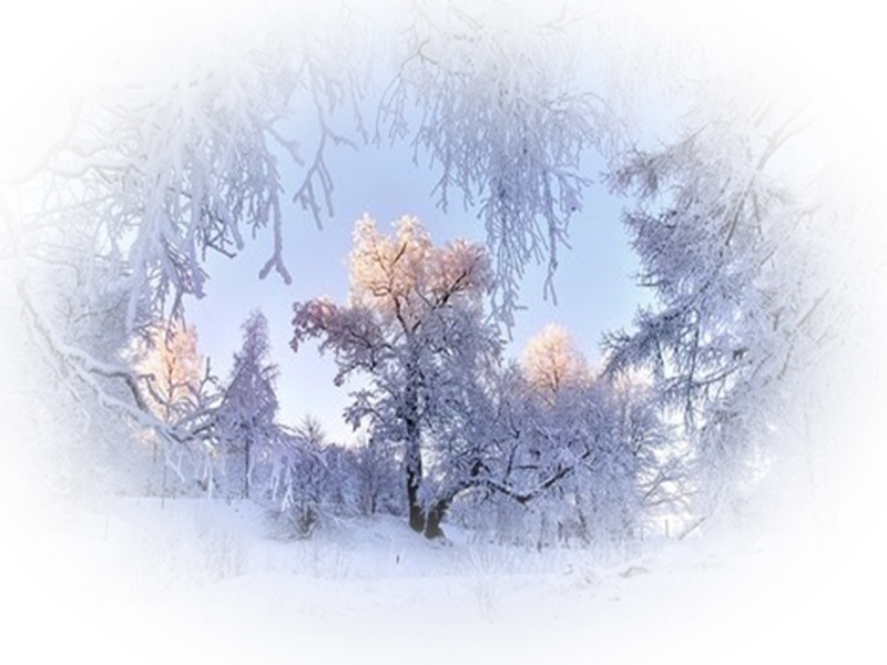 Зимний фон прозрачный