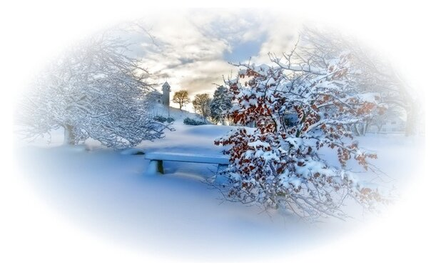 Зима на белом фоне