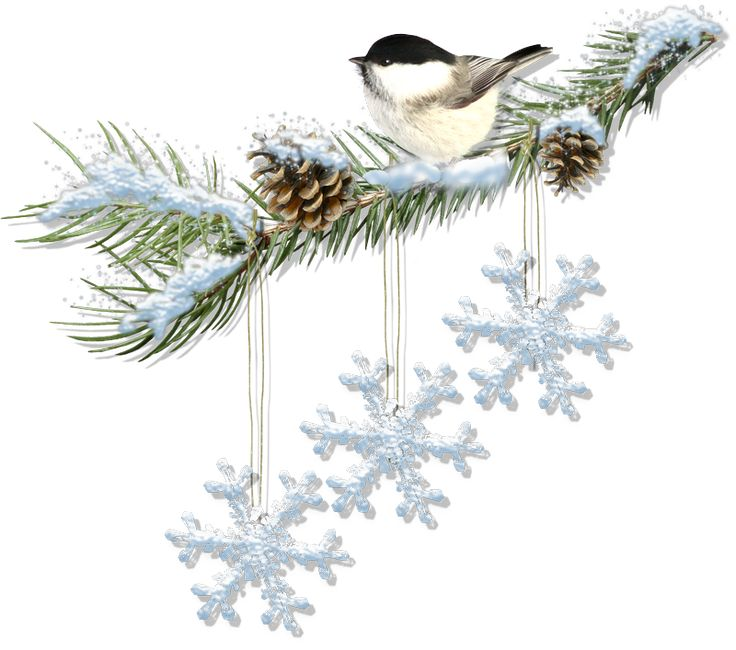 Уголок зима