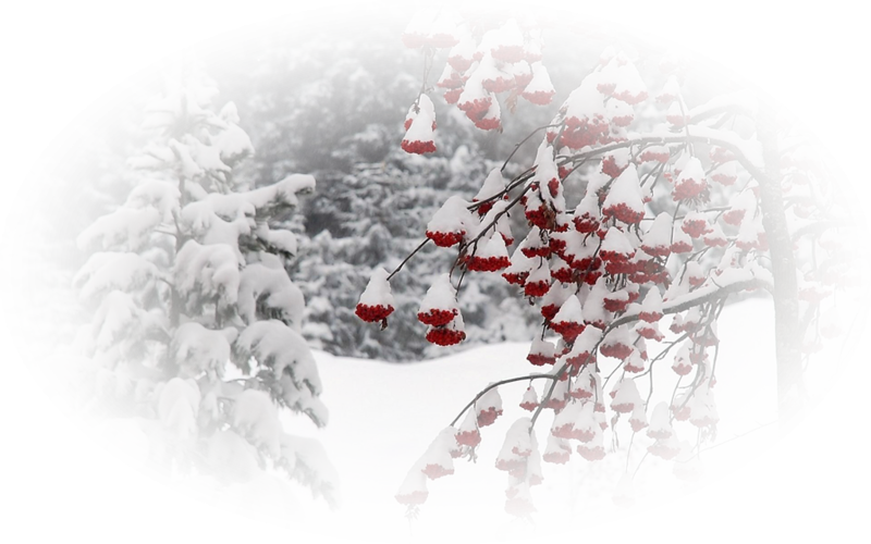 Зимний пейзаж на прозрачном фоне