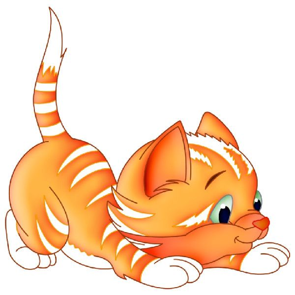 Котенок на прозрачном фоне