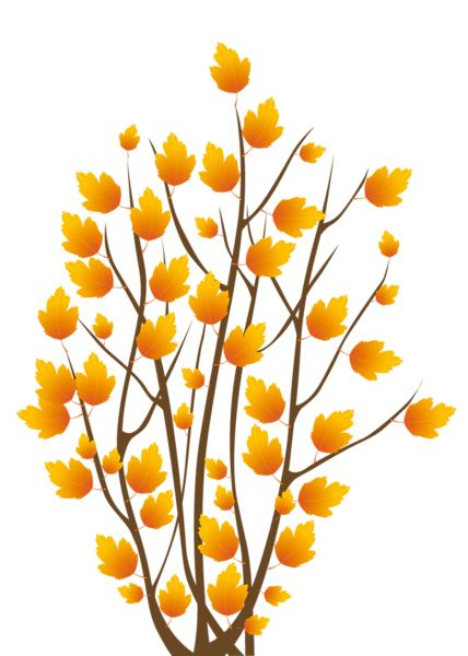 Осенние кусты на прозрачном фоне