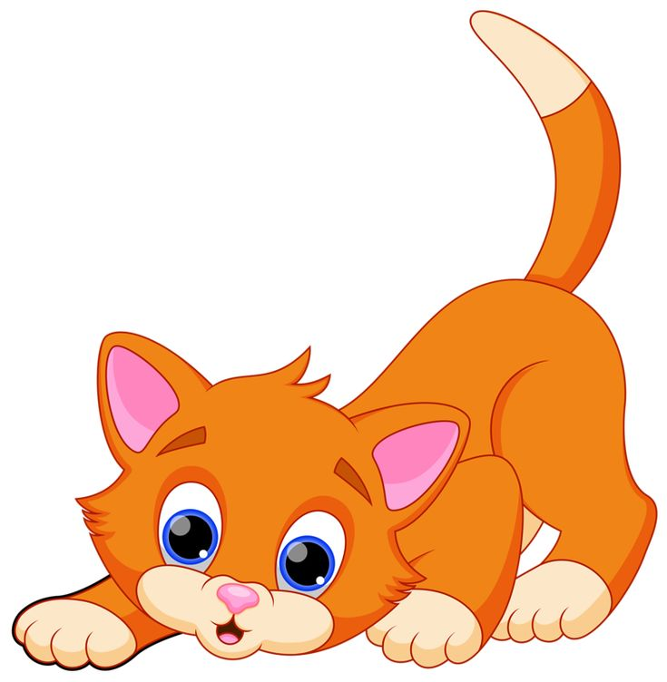 Рыжий кот мультяшный