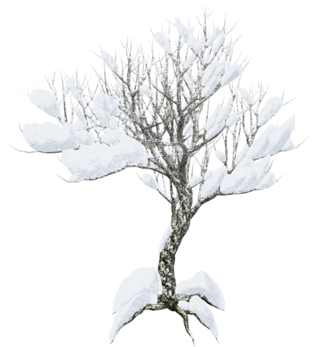 Заснеженное дерево на прозрачном фоне