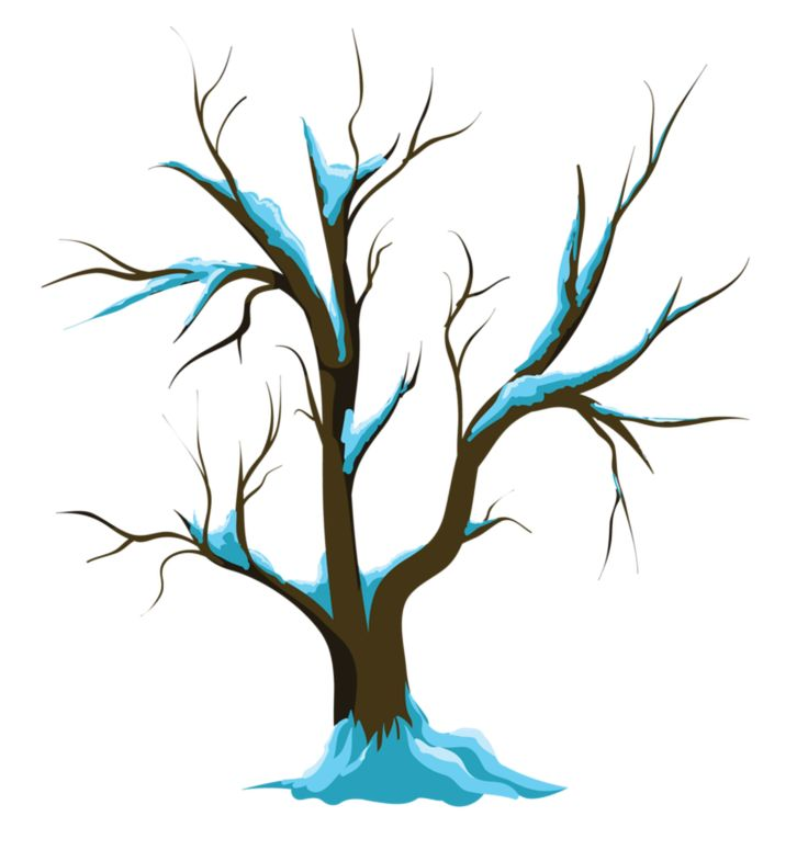 Дерево без фона