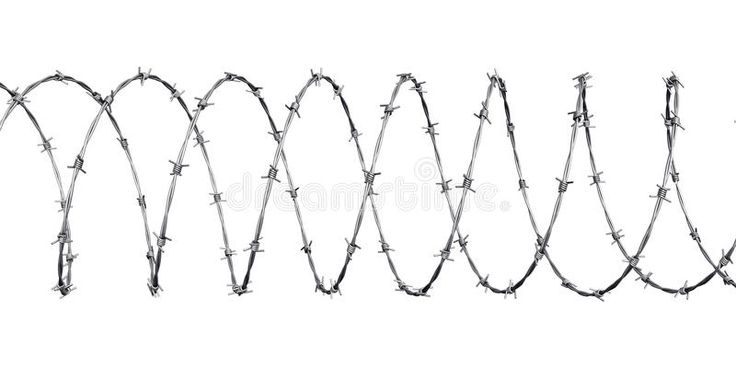 Колючая проволока круговая без фона