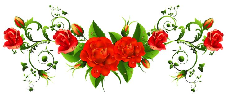 Цветочный орнамент на прозрачном фоне