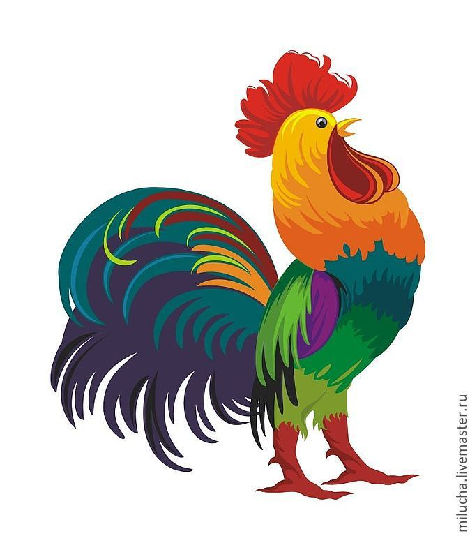 Петух рисунок