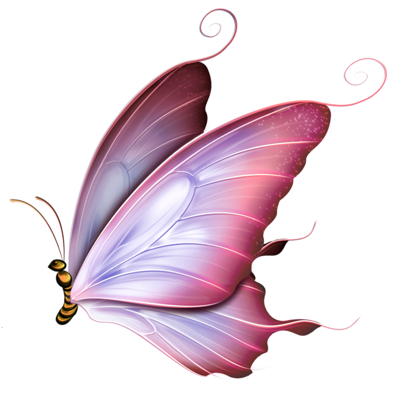 Бабочка рисунок