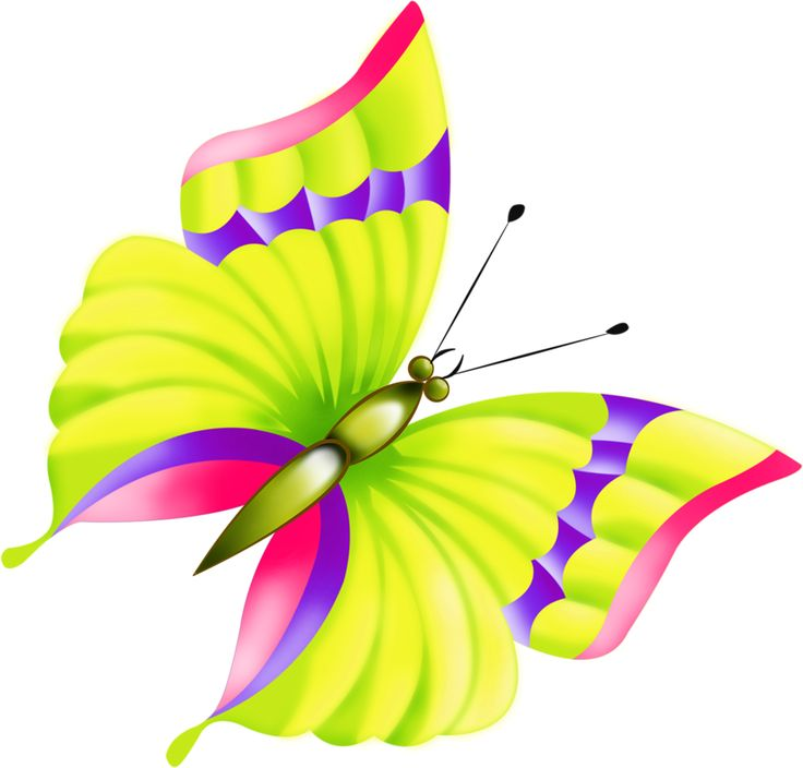 Красивые бабочки на прозрачном фоне