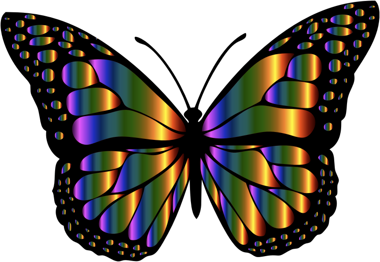 Яркие бабочки