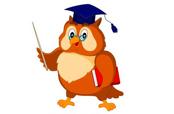 Мудрая Сова