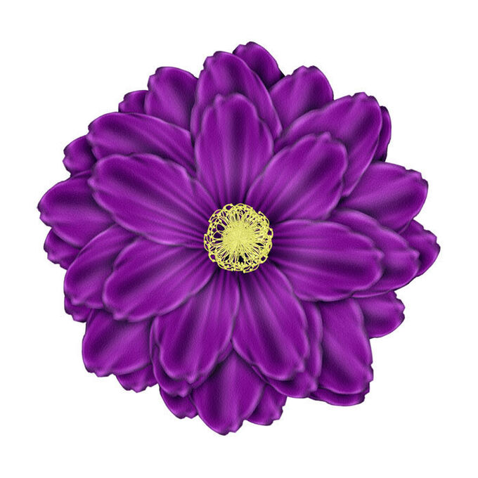 Сиреневые цветы