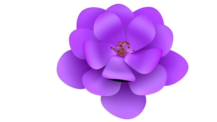 Фиолетовые цветочки