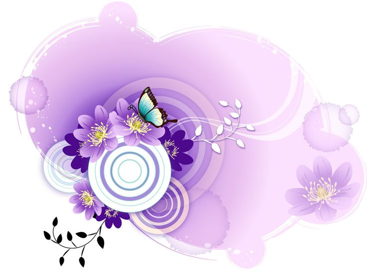 Фиолетовые цветы на белом фоне