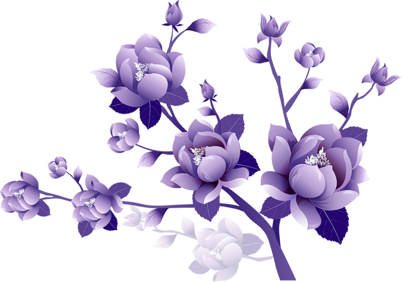 Цветы без фона