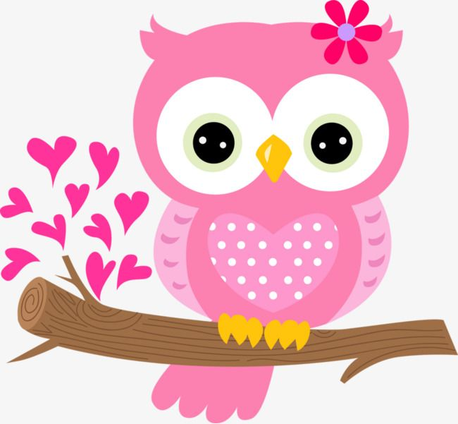 Совушки на ветке