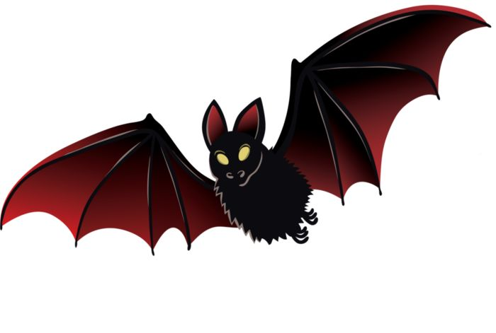 Летучая мышь на белом фоне