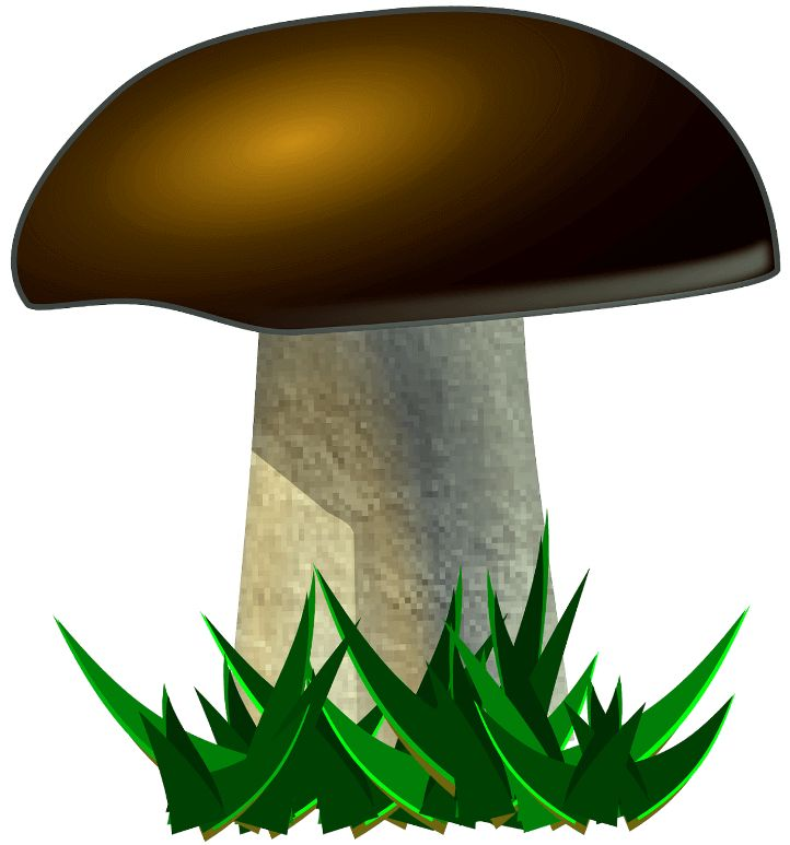 Гриб Боровик для детей