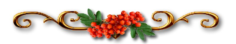 Рамка рябина на прозрачном фоне